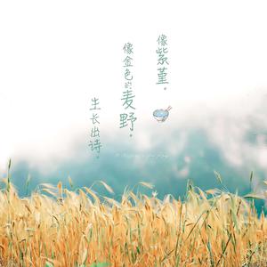 精品久久久久久蜜臂a∨
